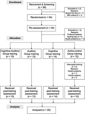 Auditory Cognitive Training Improves Brain Plasticity in Healthy Older Adults: Evidence From a Randomized Controlled Trial